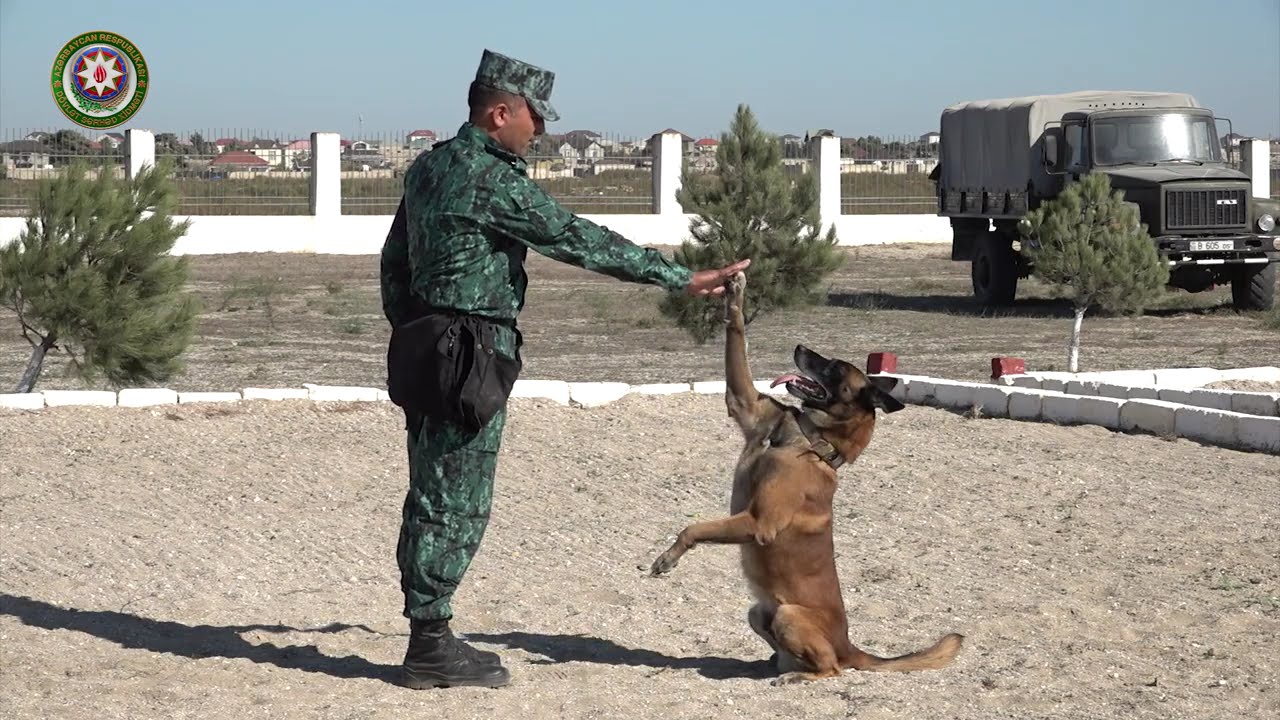 “Sərhədçilərin dostu” şüarı altında 7-ci kinoloji yarışlar keçirilmişdir