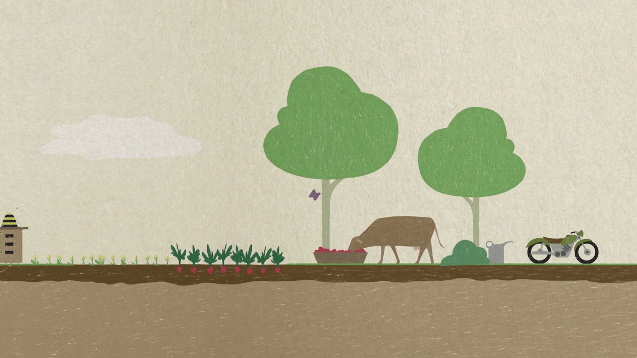 Naturland Academy: Les principes de l'agriculture biologique