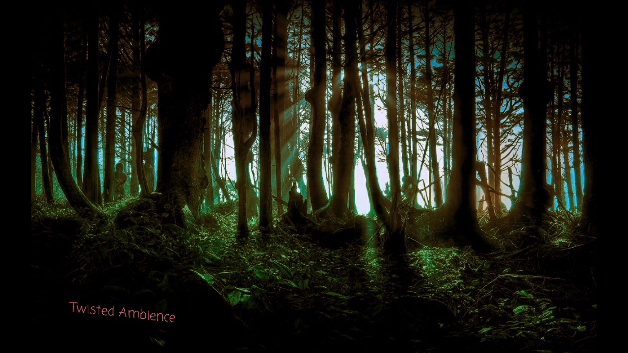 Wendigo Forest Ambience