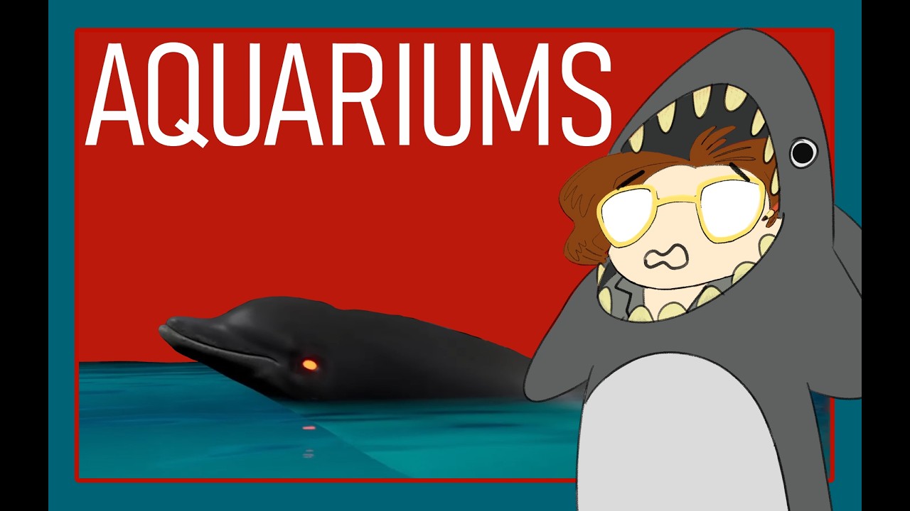 AQUARIUMS I like sharks too much for this