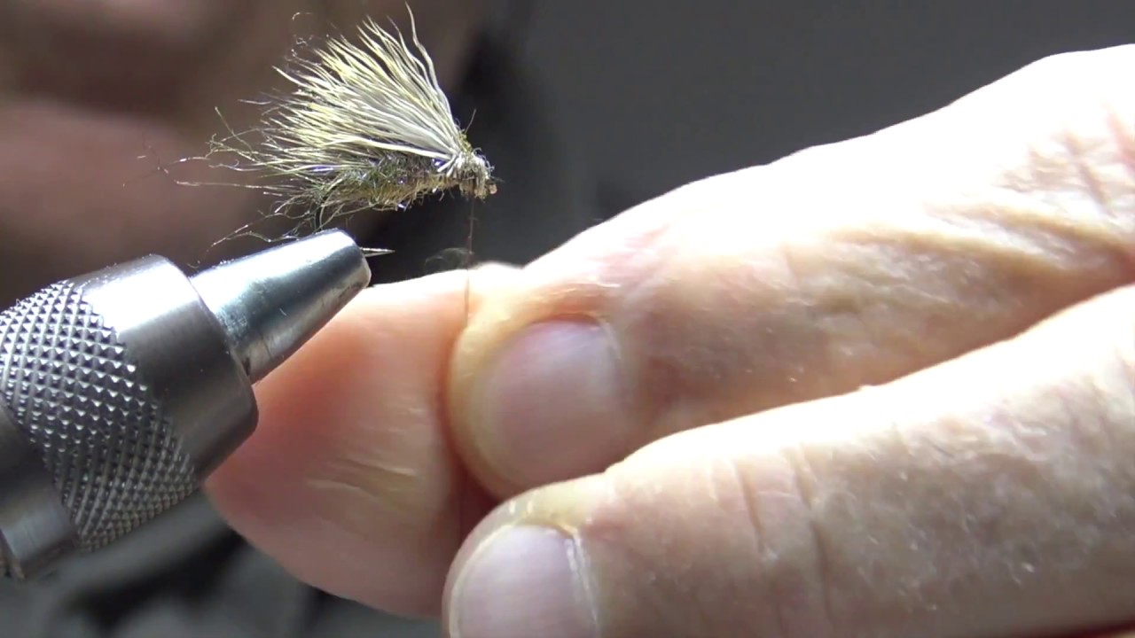 sedge chevreuil