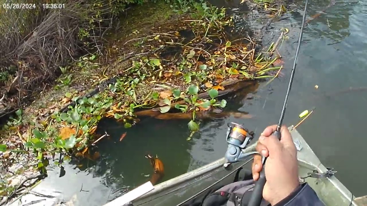 Nov Crappie Fishing Flint River Albany Georgia