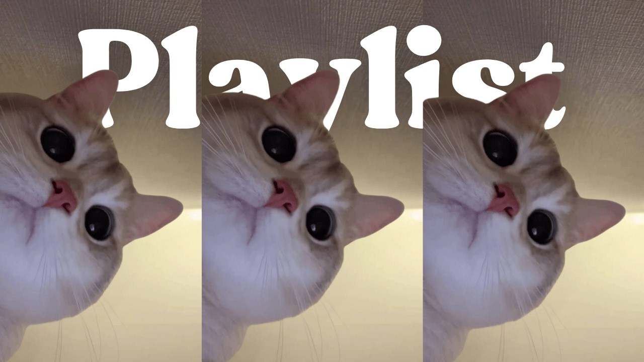 𝐏𝐥𝐚𝐲𝐥𝐢𝐬𝐭 뭐해? 자니? 일해야지 🐱☕🔥  | JAZZHOP · GROOVE · WORK | 카페 · 매장음악 · 집중 · 작업 · 드라이브