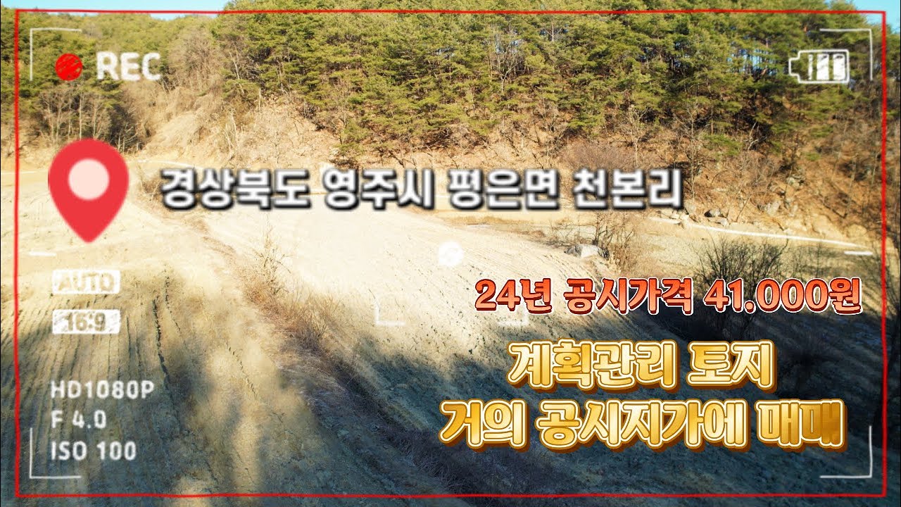 [매물번호 : 514번 평은면 #천본리 토지매매 , 거의 공시지가 금액으로 저렴하게 매입하여 농업인등록 추천