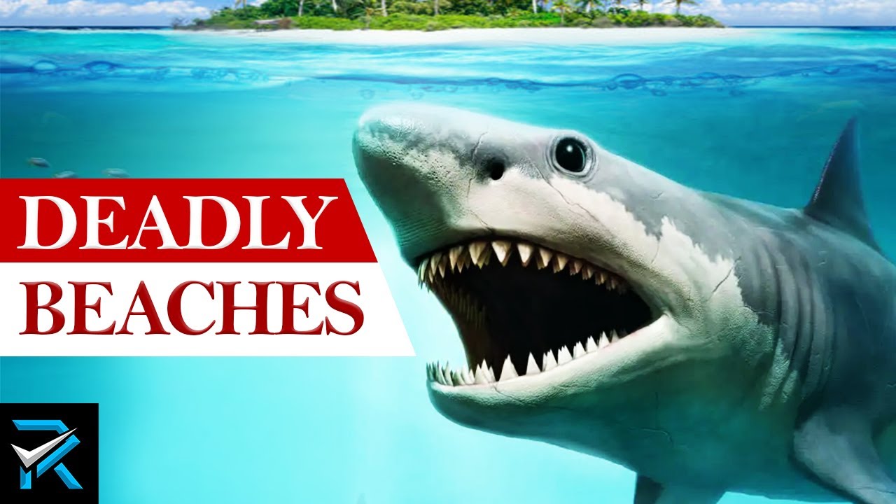 The World's Deadliest Beaches: Paradise Turned Nightmare