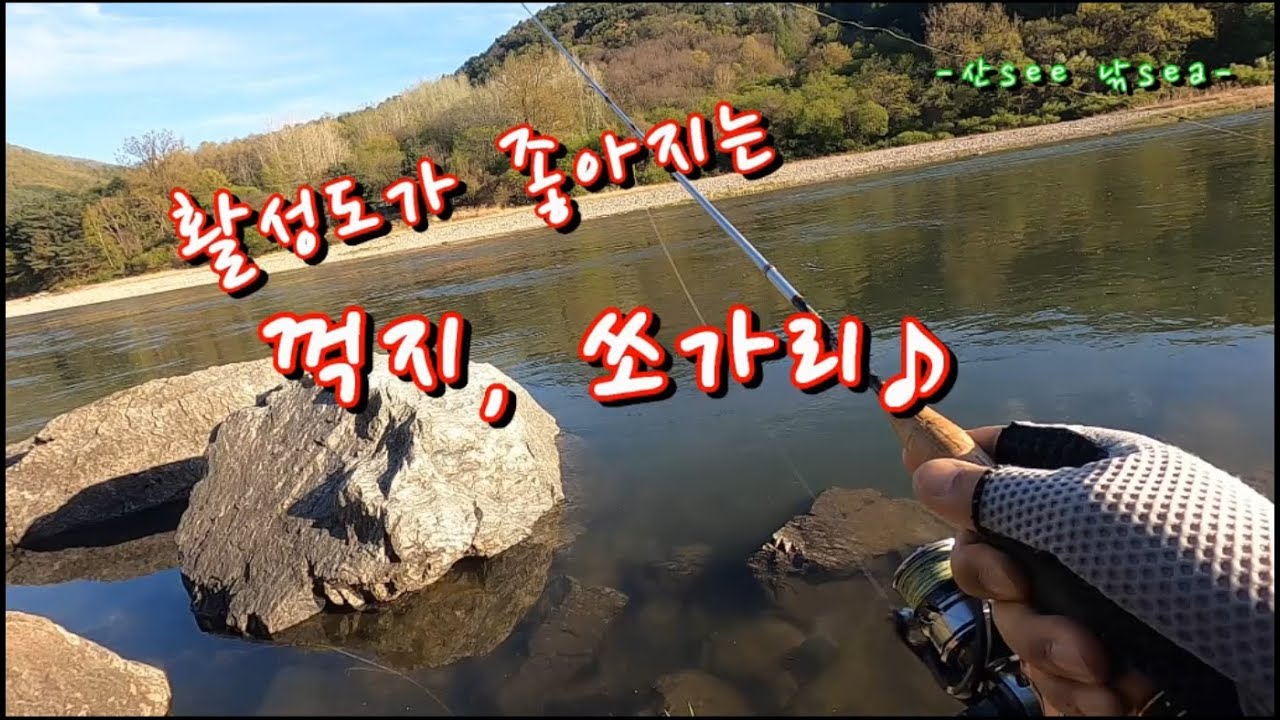 활성도가 좋아지는 꺽지, 쏘가리♪