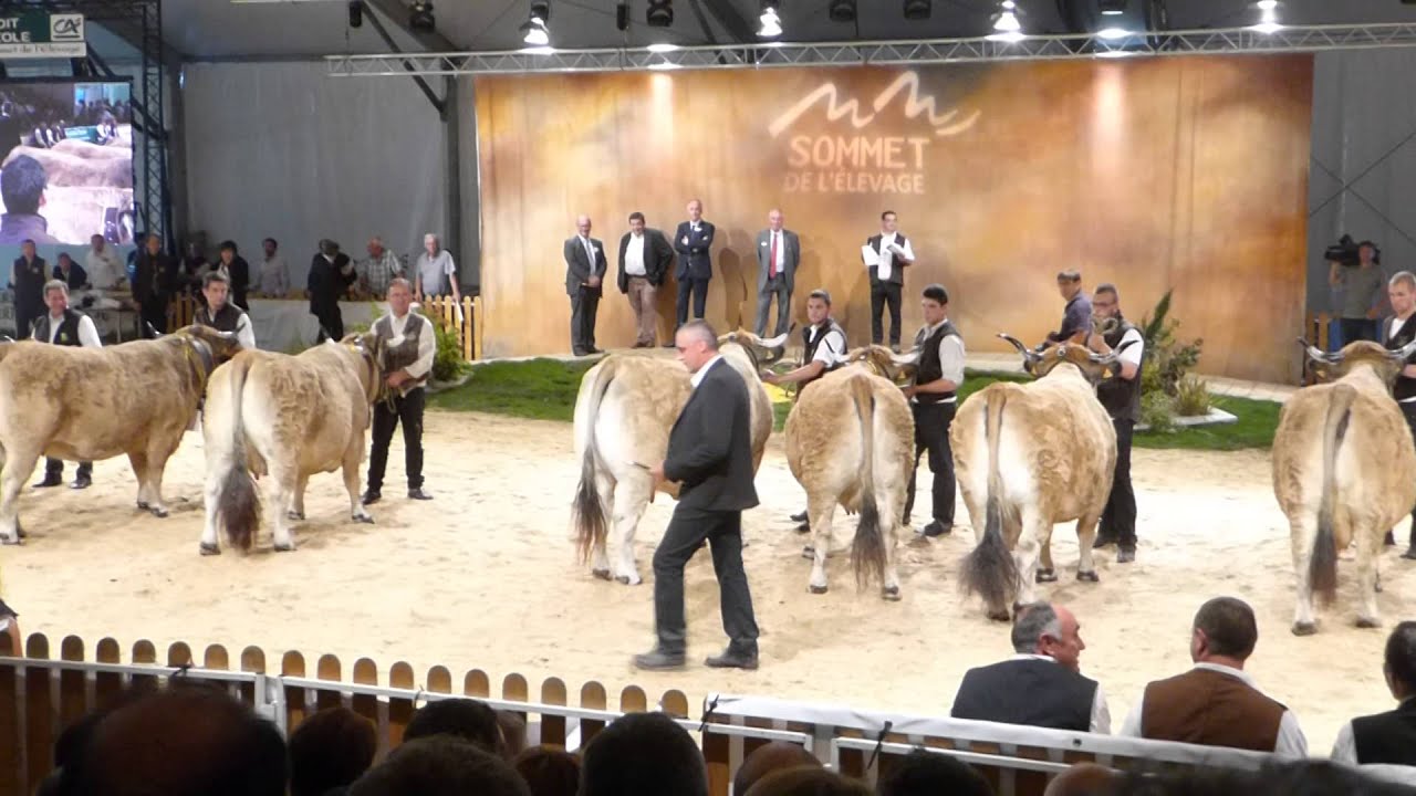 Raza Aubrac España