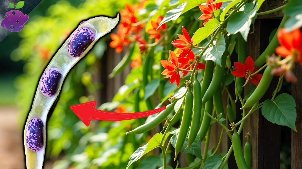 20 Forgotten Vegetables Americans Used to Grow (But Rarely Eat Today)