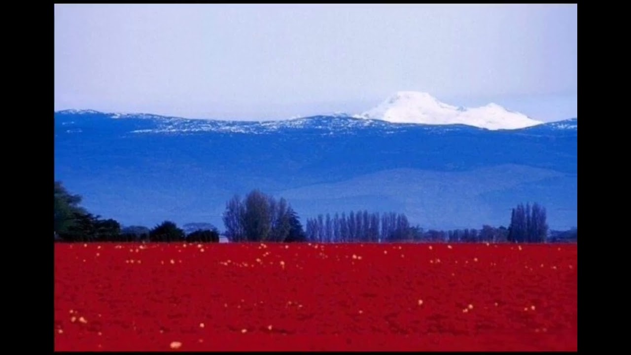 Country flags in nature (without song)