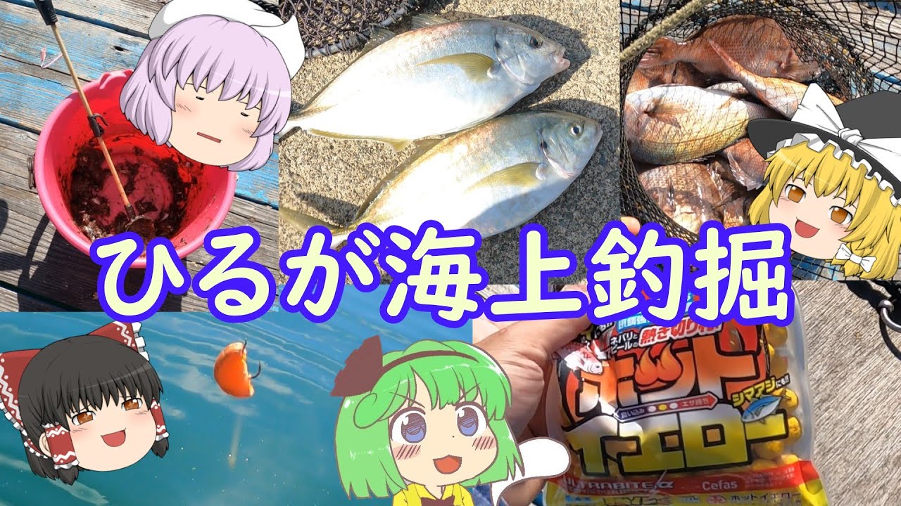 【ひるが海上釣掘【海上釣堀】】緑みょん妖夢　何がなんでも釣らせる爆釣できる海上釣掘へ行く【ゆっくり実況】【ゆっくり料理】#45