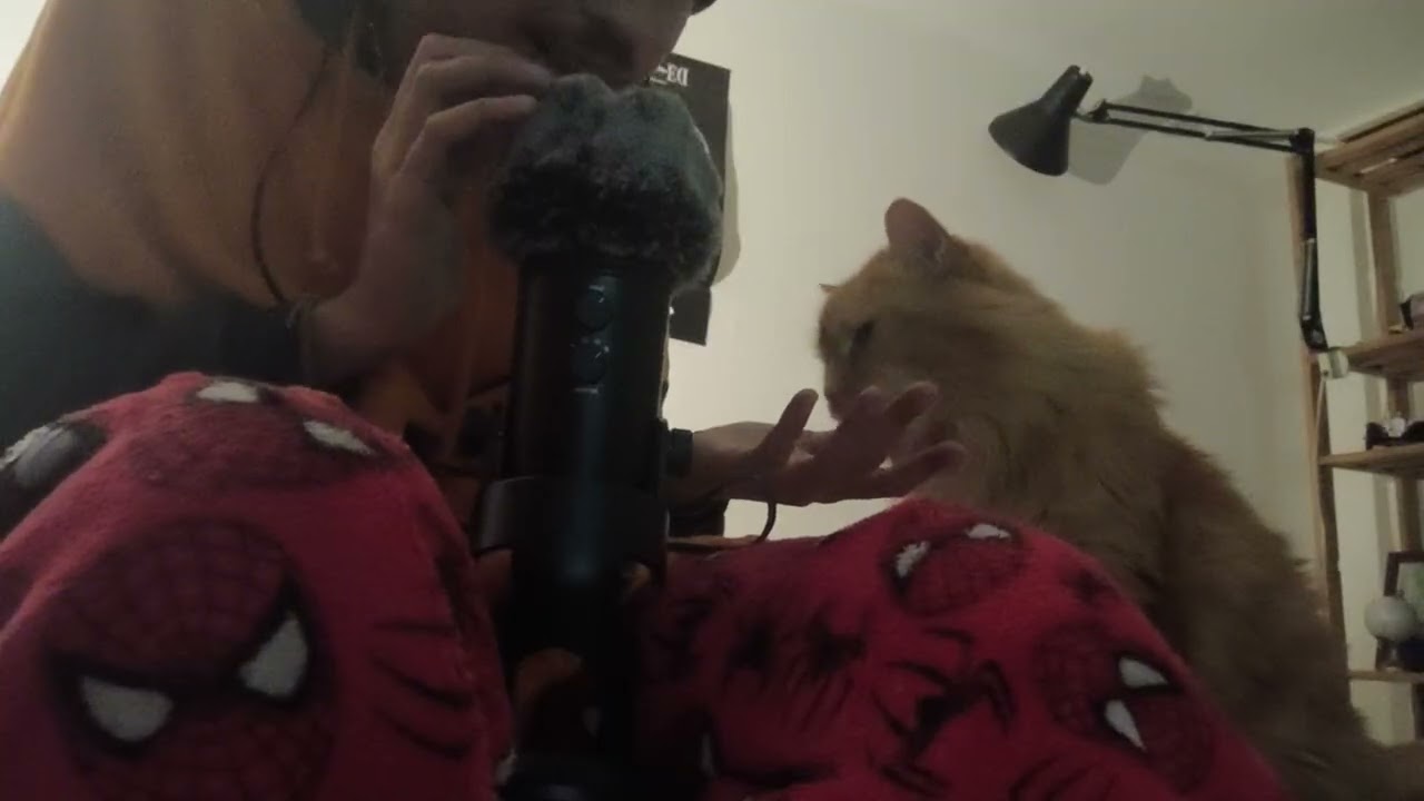 Asmr avec mon chat 🐱