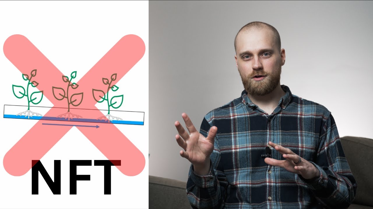 4 причины, по которым я не использую NFT для гидропоники