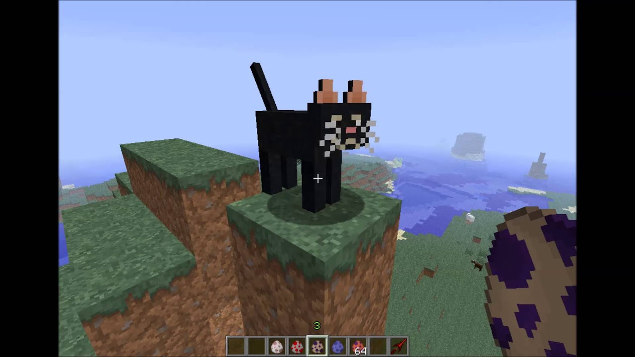 Im Radio ist ein Küken (Minecraft)
