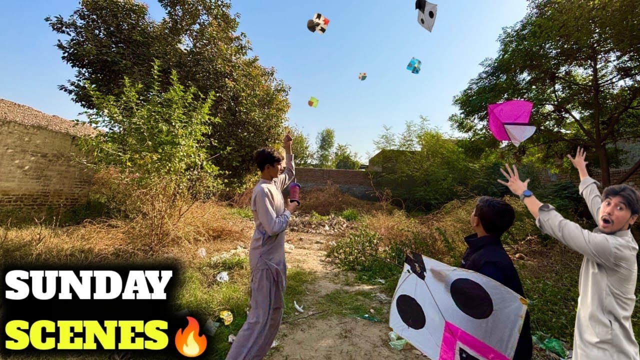 Sunday kite flying🔥 || Kite fighting😱 || Kite looting🪁 || Full on scenes🥵 || Kite || Kites