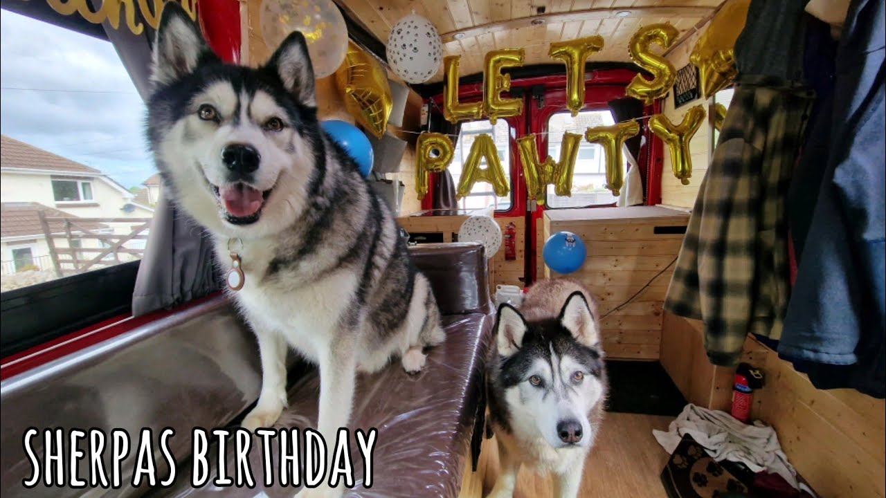 Sherpas Birthday Visit | The Longer Version
