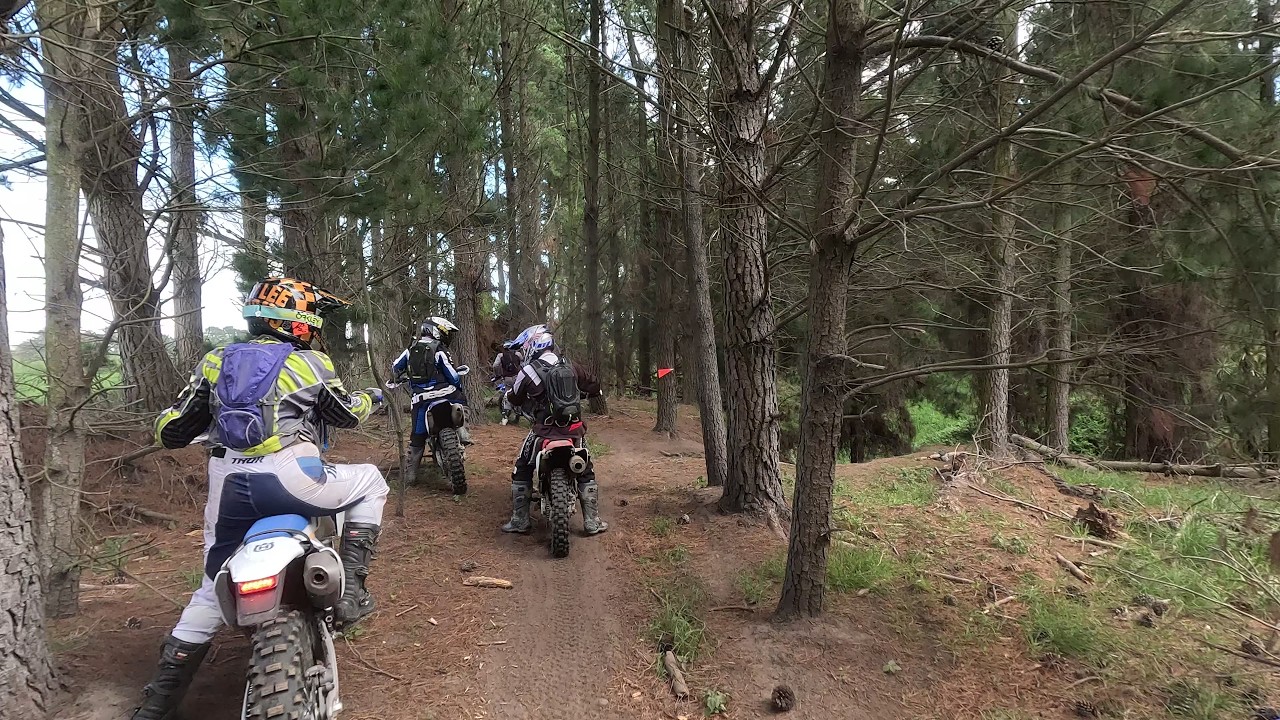 Amberley Trail Ride, Main Loop, Murray Downs 01-03-2026