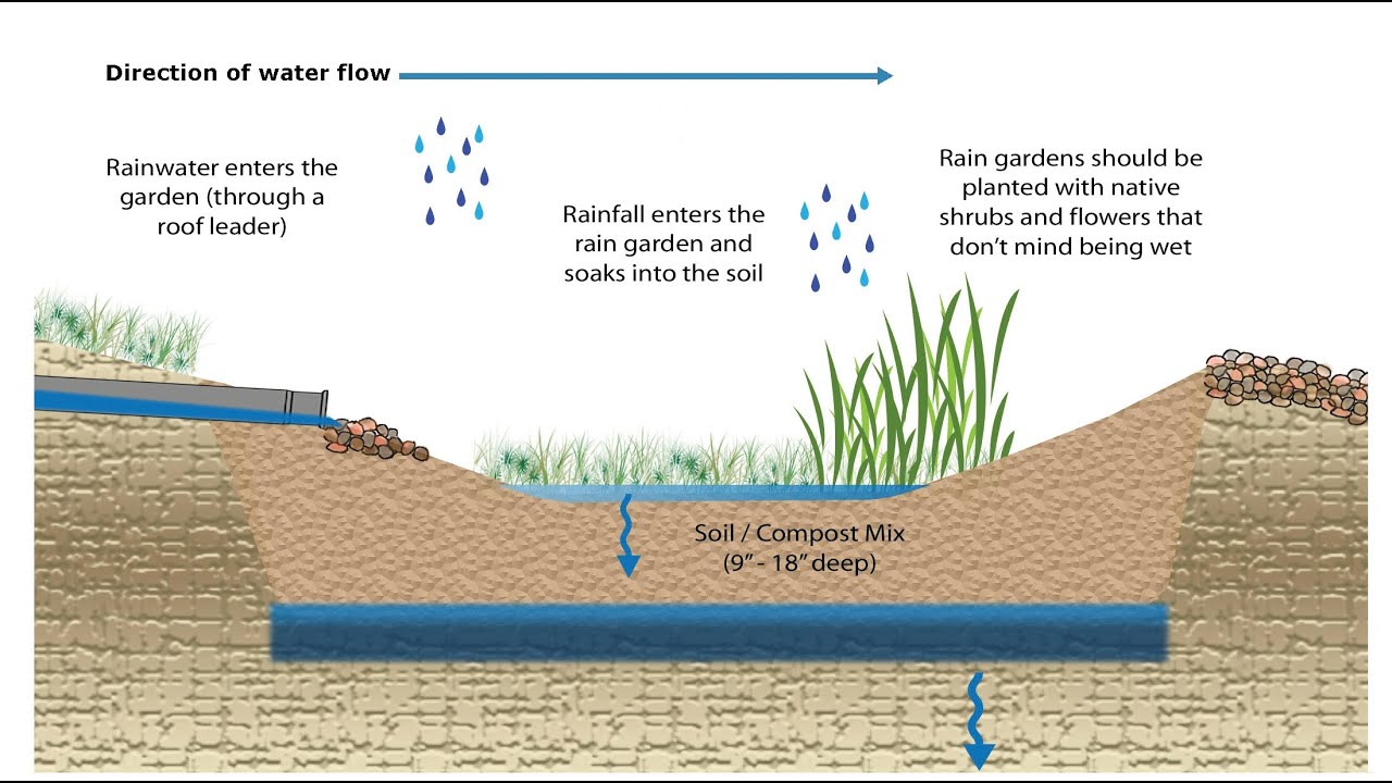 Design for drought and rain bombs |Christopher Charles |Central Texas Gardener