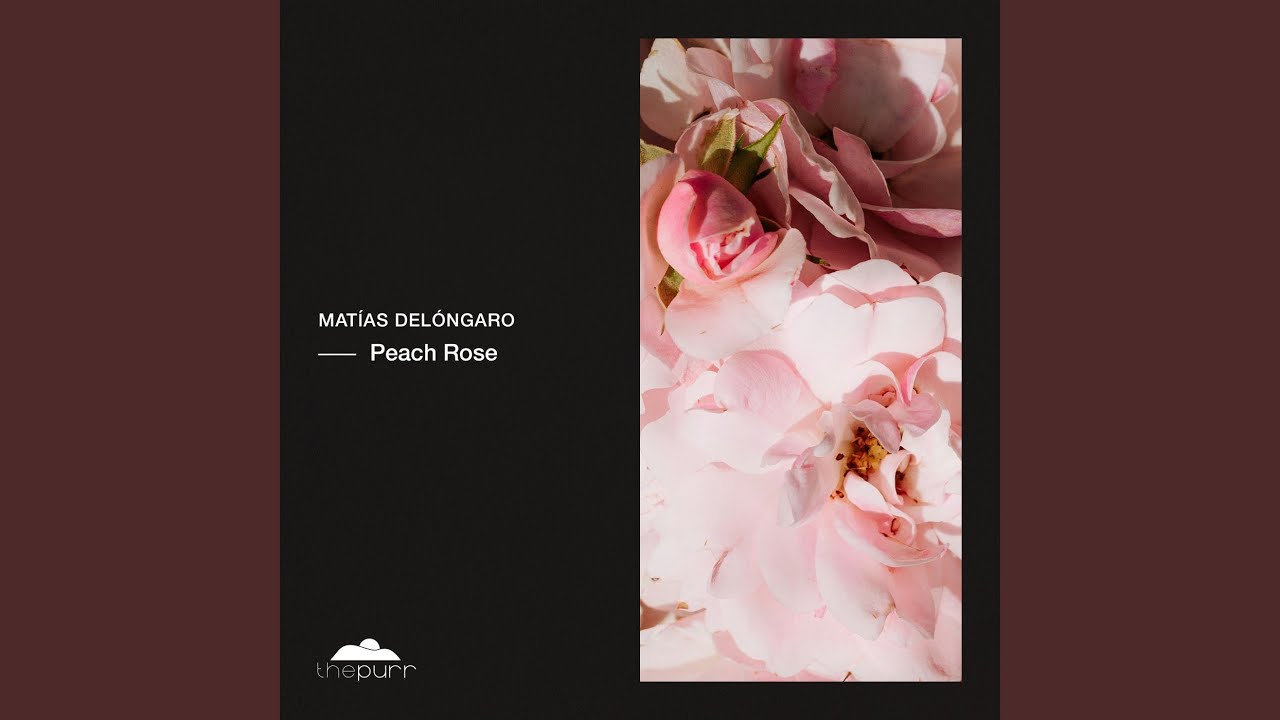 Peach Rose