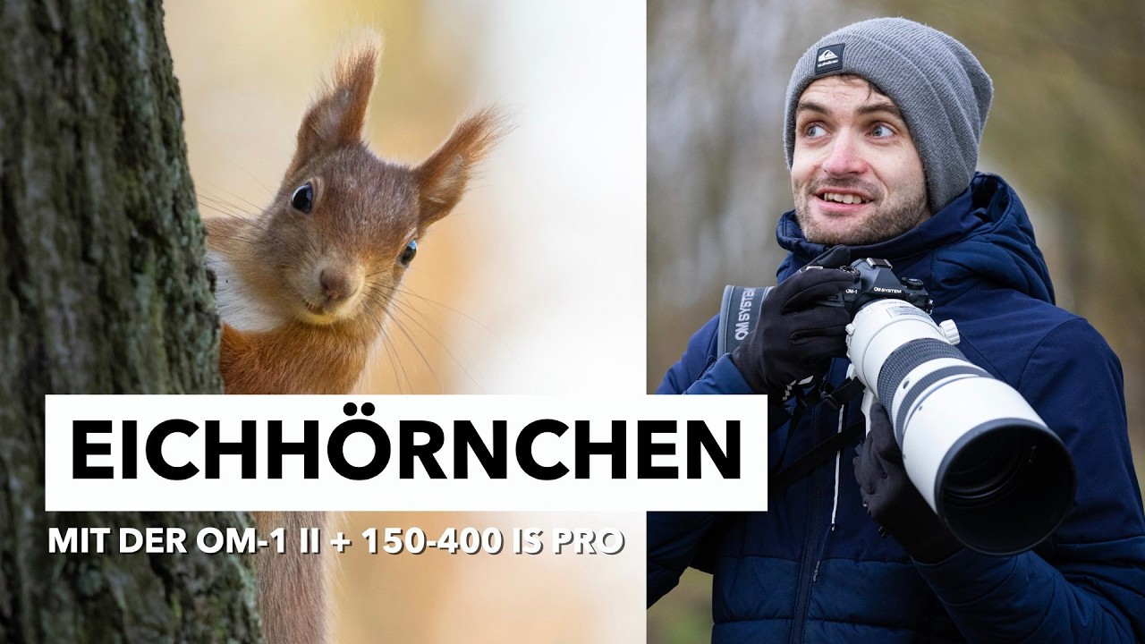 Eichhörnchen fotografieren leicht gemacht | Naturfotografie mit der OM-1 Mark II 📸