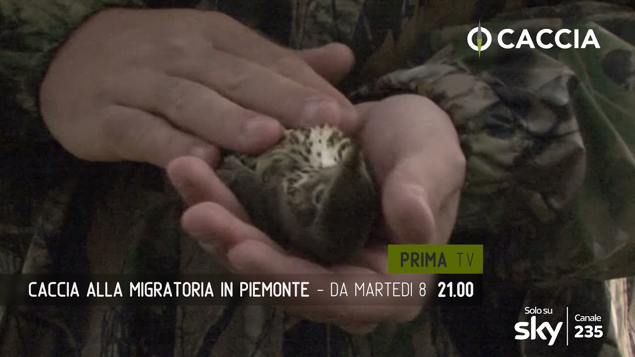 CACCIA ALLA MIGRATORIA IN PIEMONTE