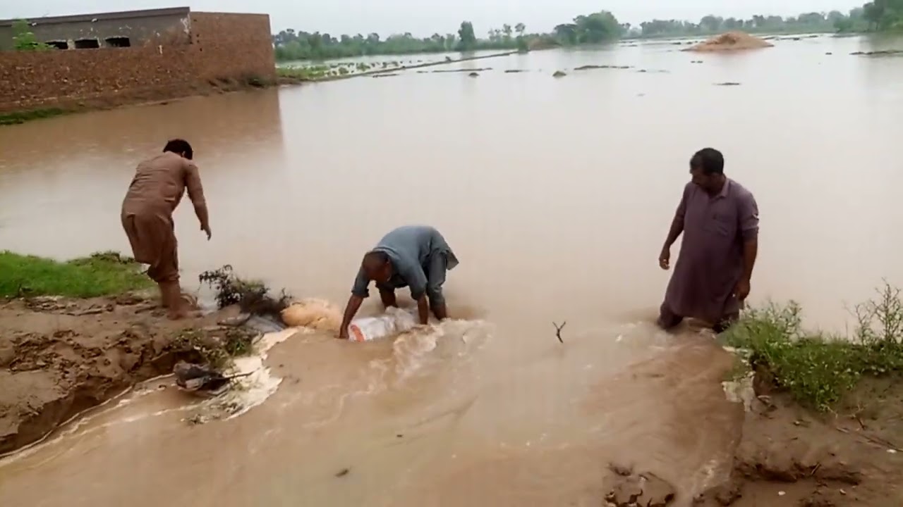 Allah maaf kry