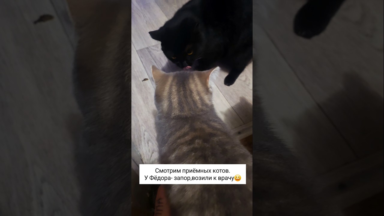 8 января 2026 г.
