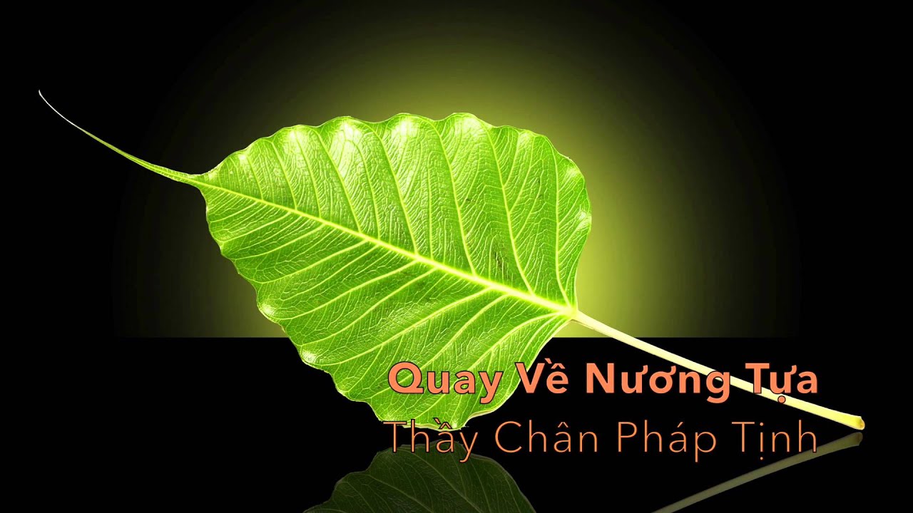 Bài hát: Quay Về Nương Tựa