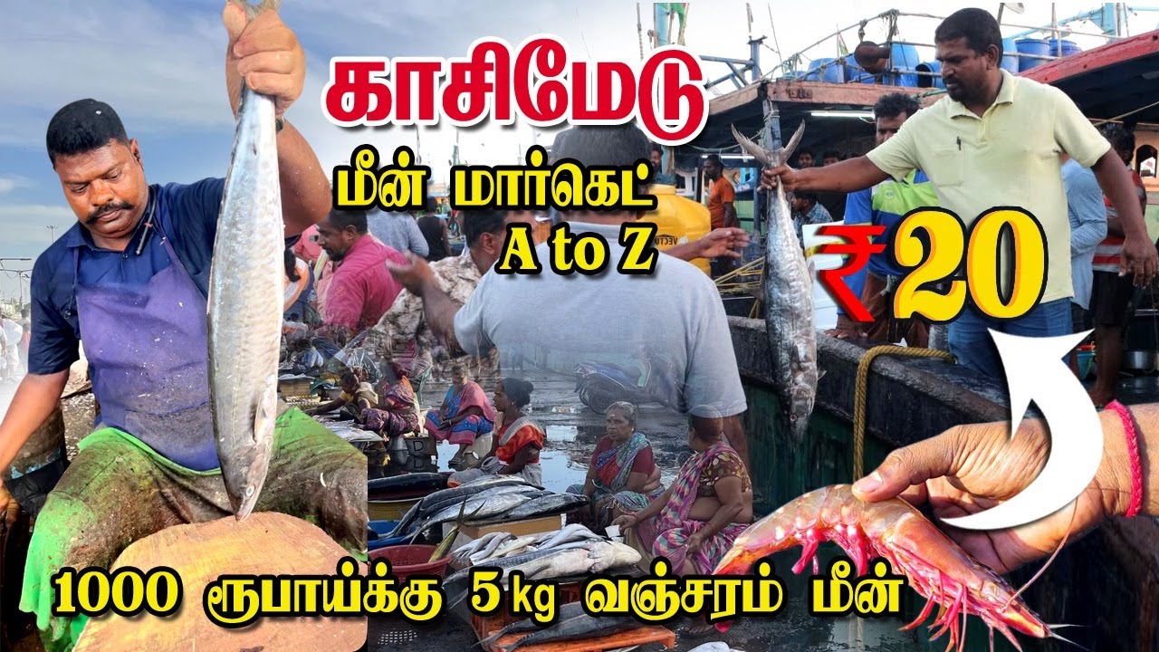 Kasimedu Fish Market (காசிமேடு மீன் மார்க்கெட்) - A TO Z