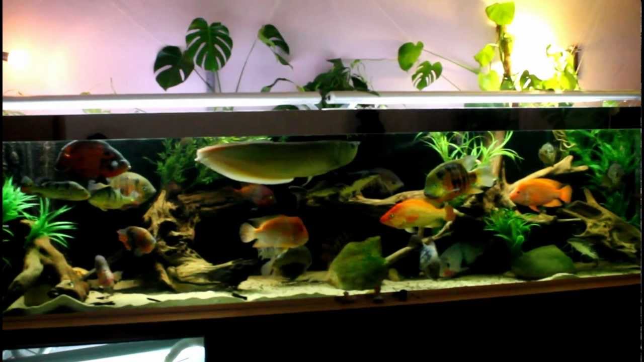 1500l and 140l tanks update(Rus)