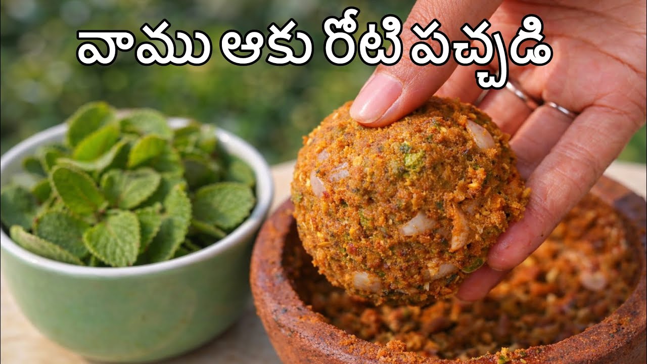 వాము ఆకు రోటి పచ్చడి | దగ్గు, జలుబుకు ఔషధంలా పనిచేసే గ్రామీణ రుచి|#vamu #benefits #health #pachadi 