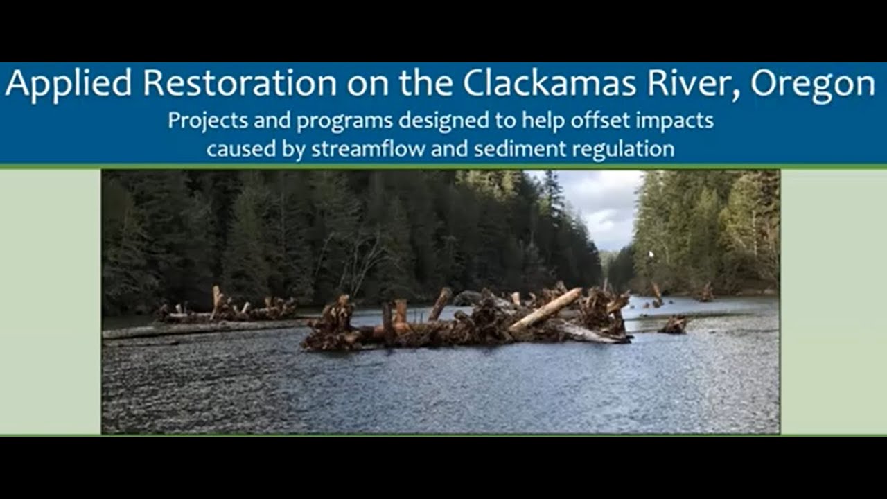 FIS11 Advanced Stream Restoration and Protection Practices - Natural River Design Approaches