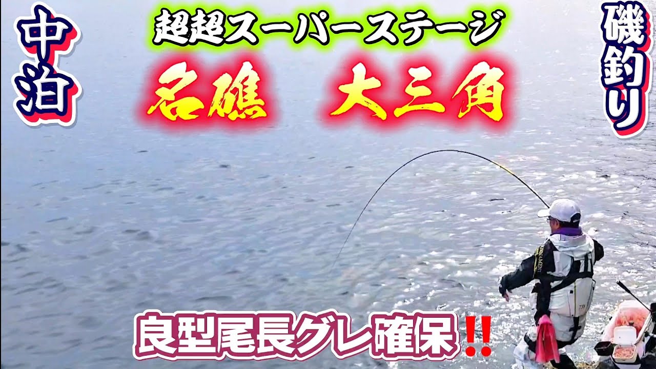 【四国西南部】日本屈指の尾長場で知られる　大三角で尾長チャレンジ成功‼️やっぱり尾長の引きはたまらん　水中映像あり