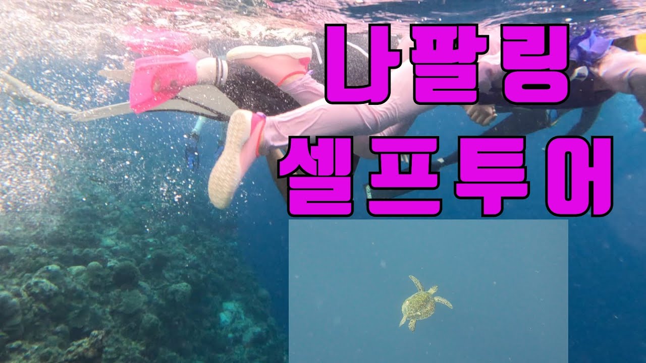 필리핀보홀) 나팔링 셀프투어