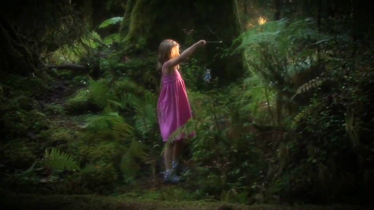 Flitter Fairies: enchanting new toy!