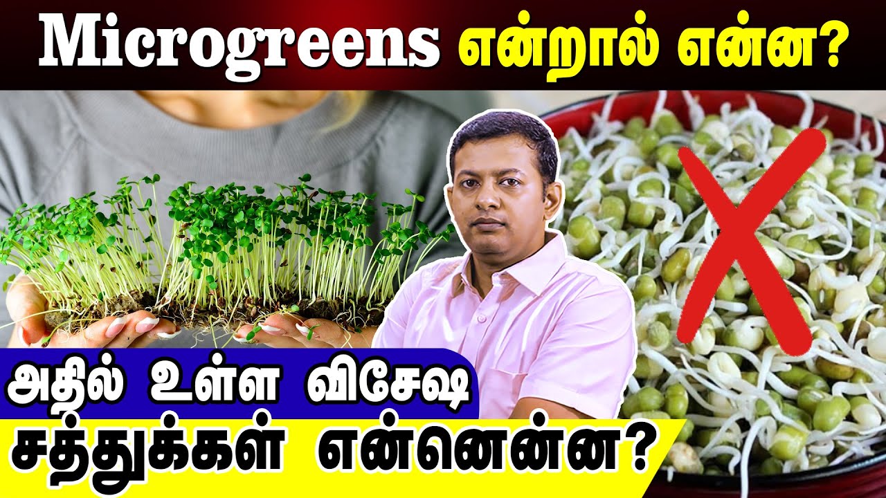 Microgreens என்றால் என்ன? | அதிலுள்ள விசேஷ சத்துக்கள் என்னென்ன? | Dr. Arunkumar