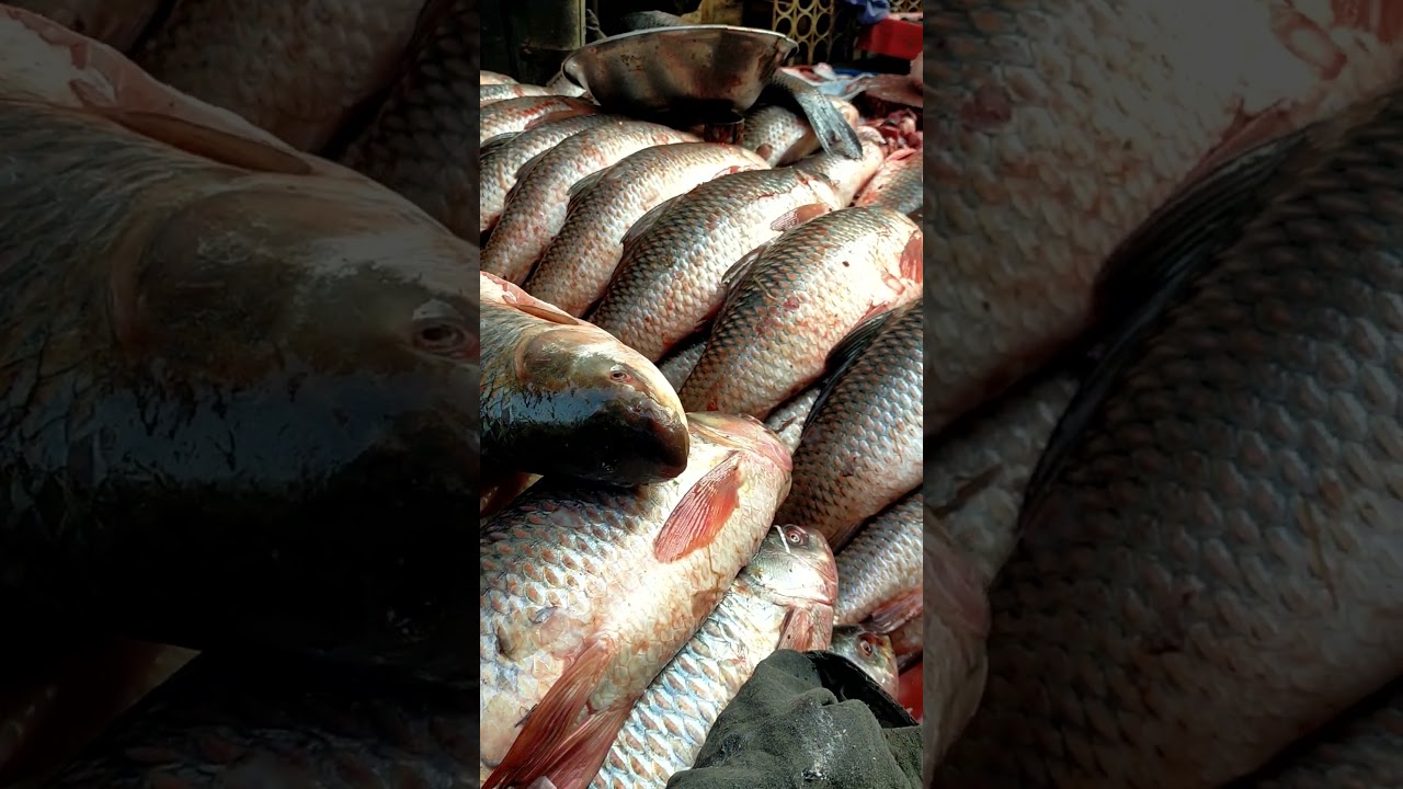 Fish Market Lahore #streetfood #shorts