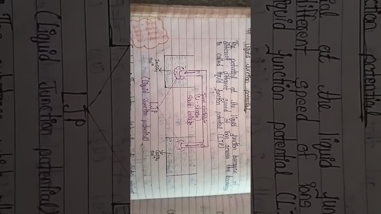 function of salt bridge and liquid junction potential