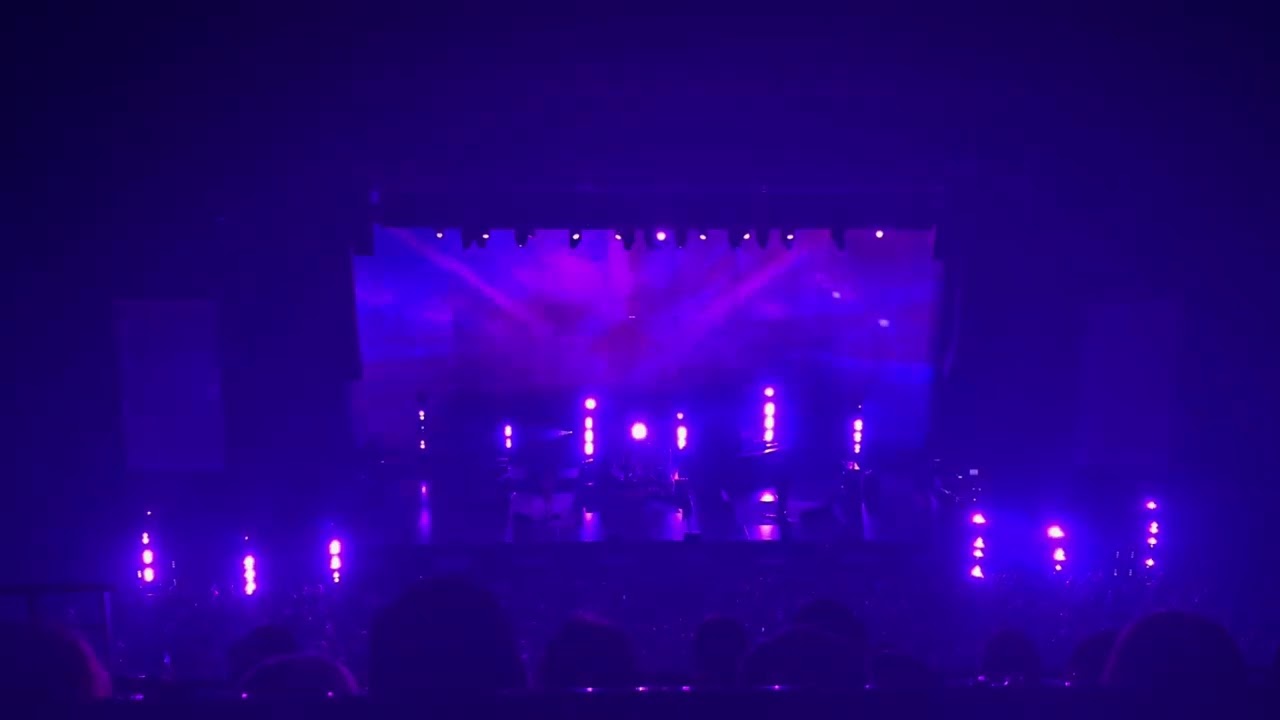 【my bloody valentine】only shallow