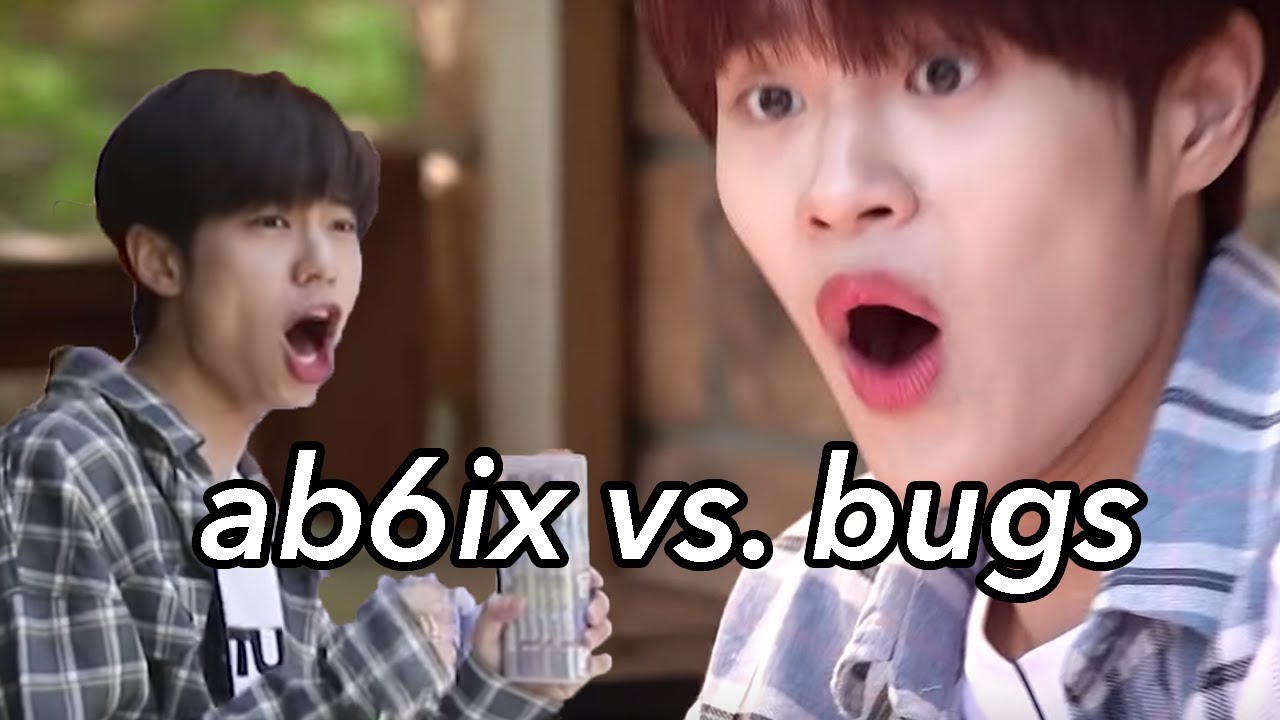 ab6ix vs. bugs