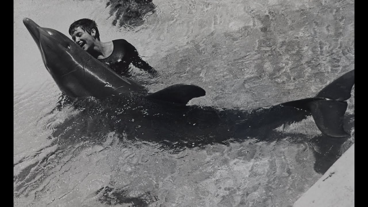 Dealing with a dolphin's 'urges' - The Girl Who Talked to Dolphins: Preview - BBC