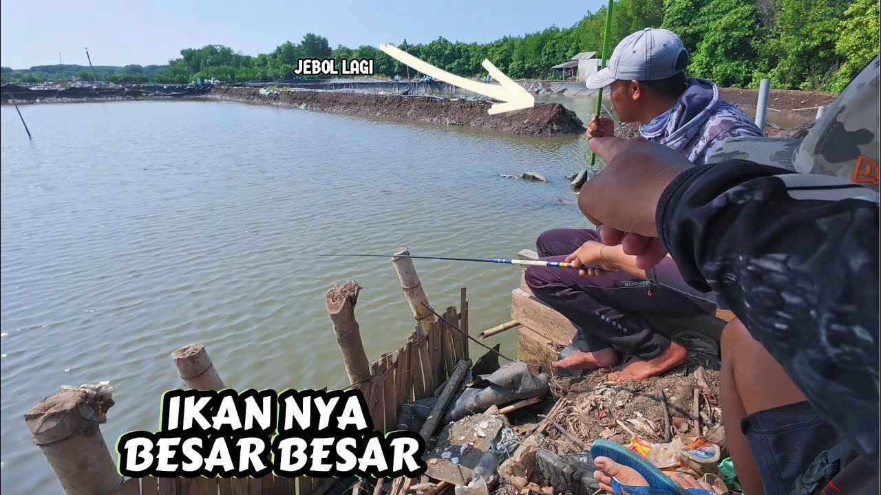 Serunya mancing saat ikan babon nya yang makan,ikan nya langsung kita goreng dan makan bersama