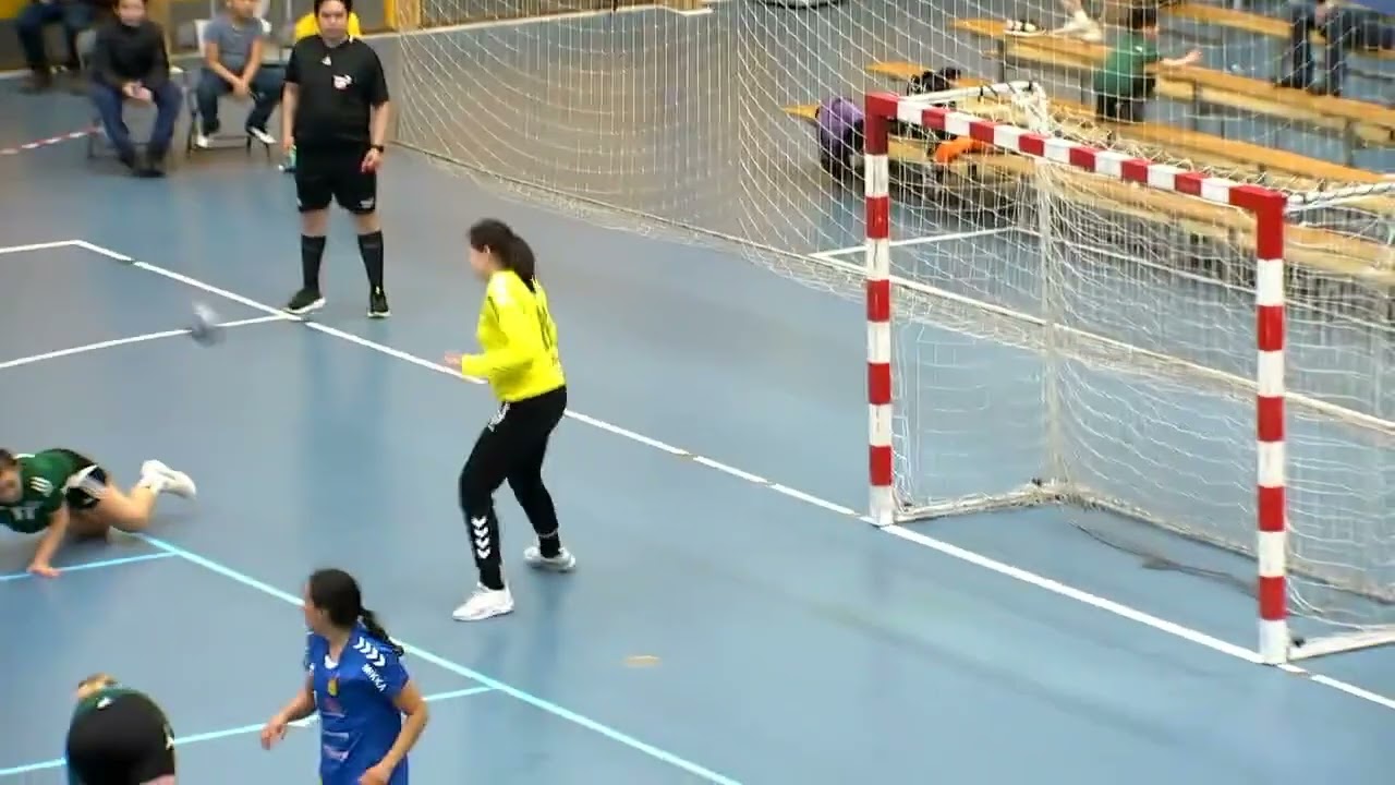 Assammik arsarluni pissartanngorniunneq bronze-nanniunneq arnat: K-1933 - N-48 (2:2) KNR 14.04.2024