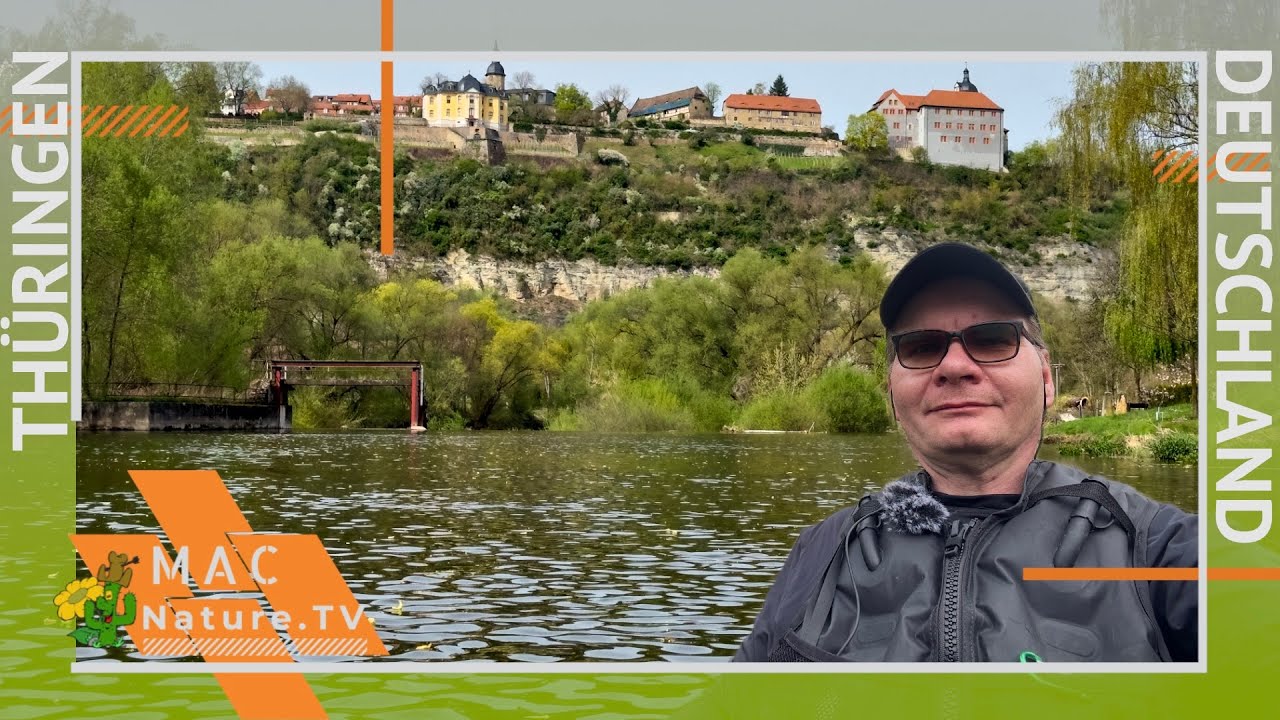Packraft auf der Saale - 23 km von Jena Paradies nach Camburg