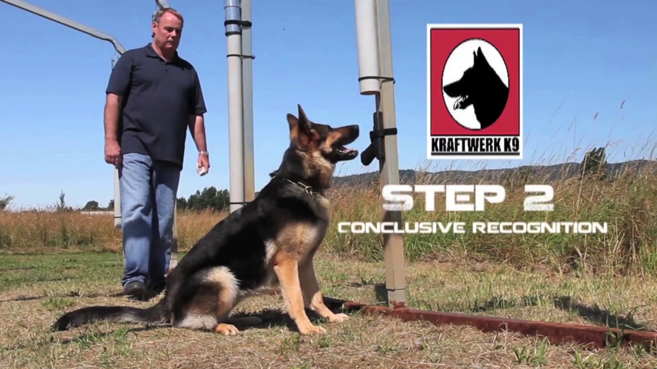 Best way to keep guns out of bad guys hands! Gun detection the Kraftwerk K9 Way