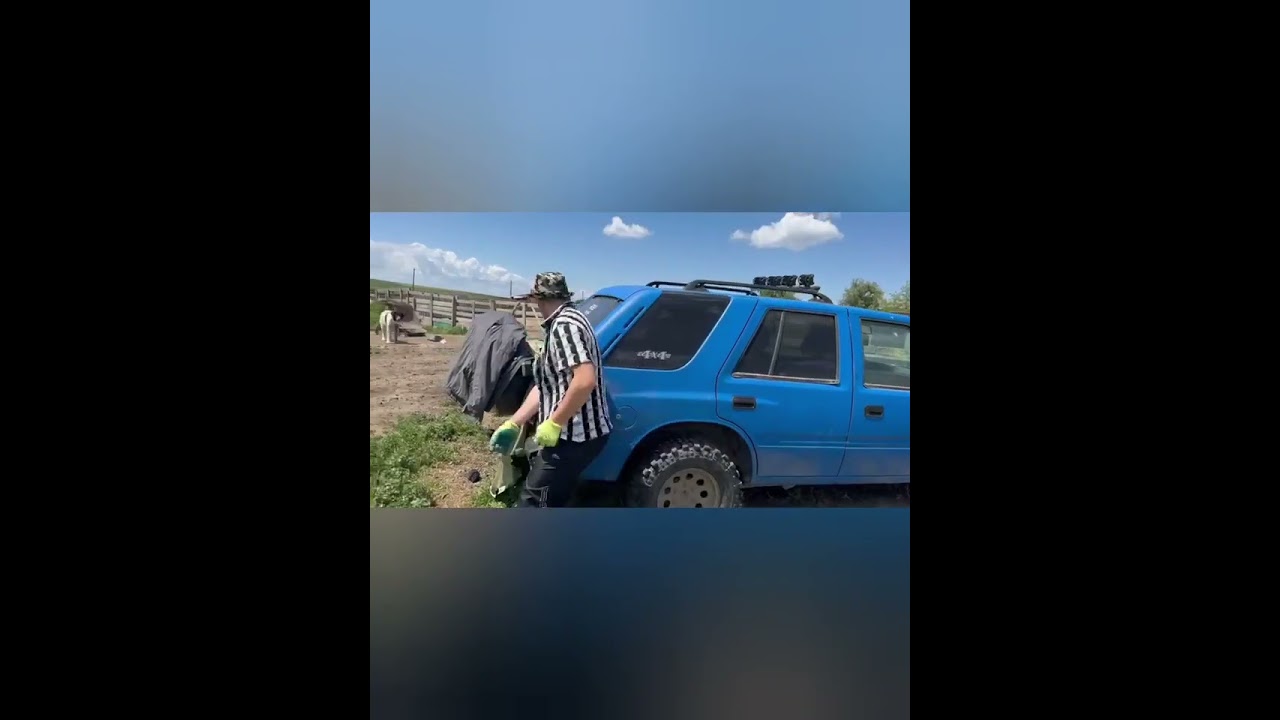 Cine este mai nebun ca mine