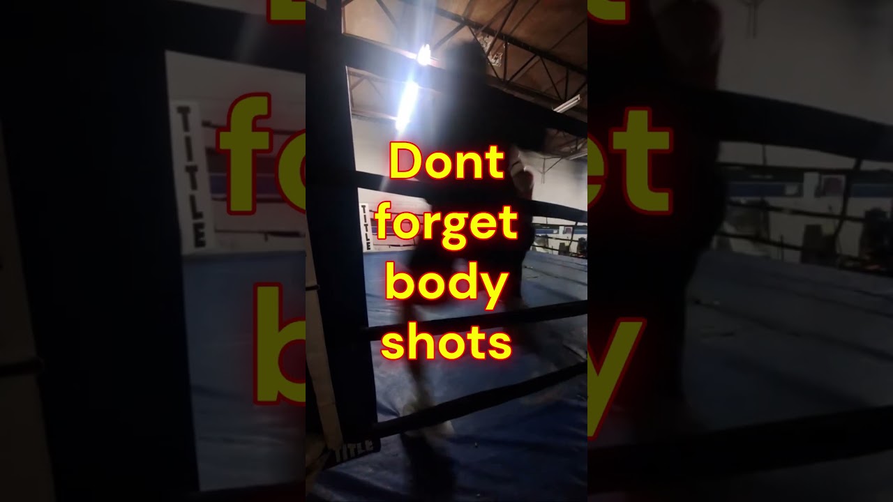 Boxing body shots #boxing #boxer #shorts