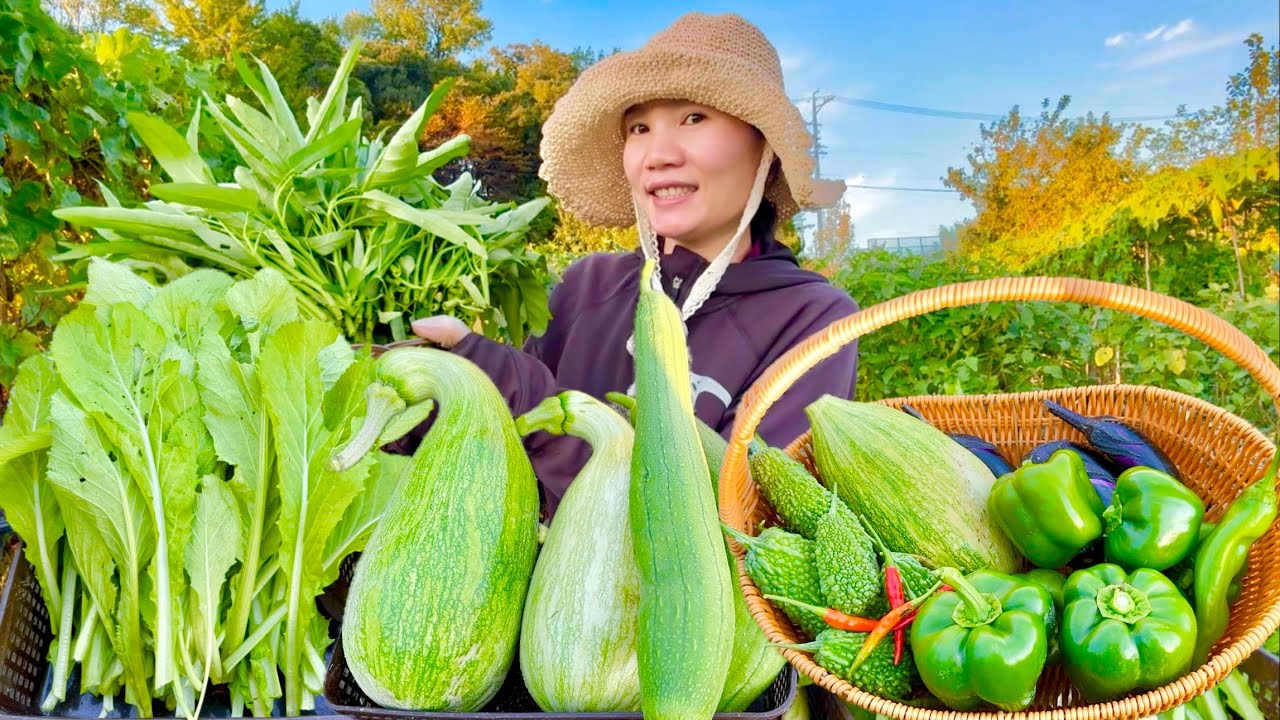 Cuộc sống ở Nhật || Rau cải cay đã bắt đầu cho thu hoạch và thêm một số loại rau , quả cuối vụ hè