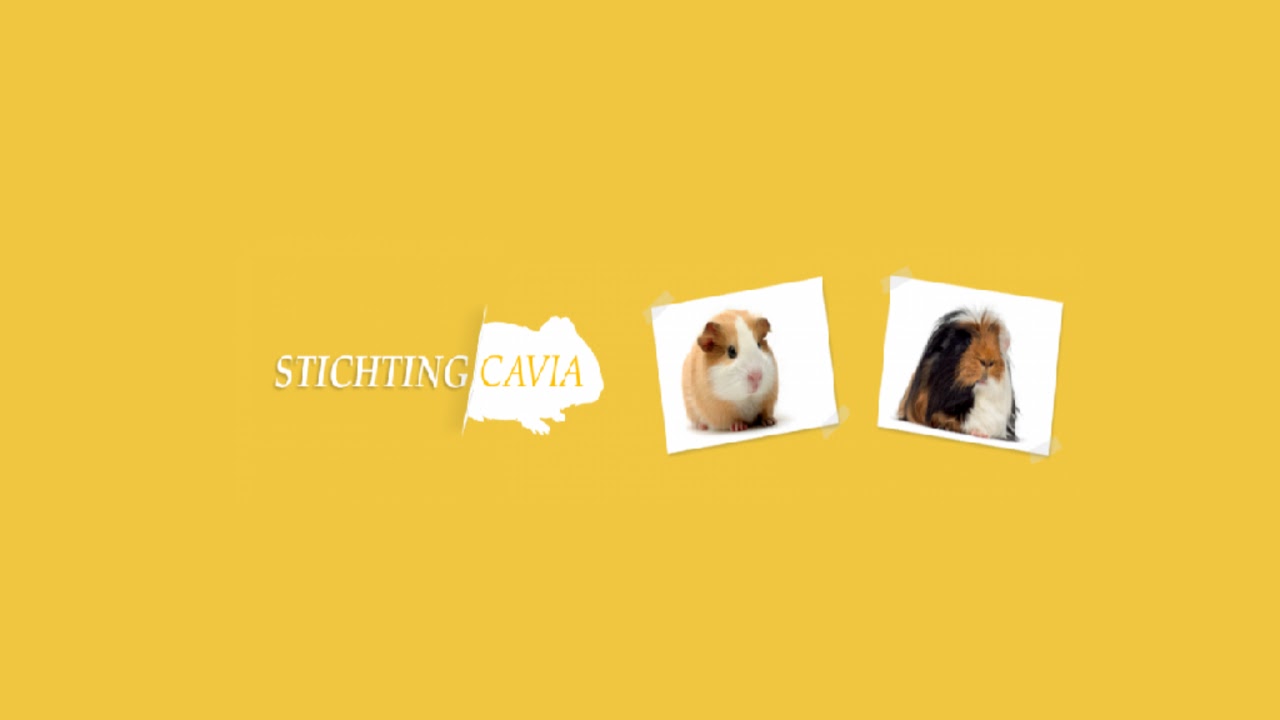 Cavia Cam