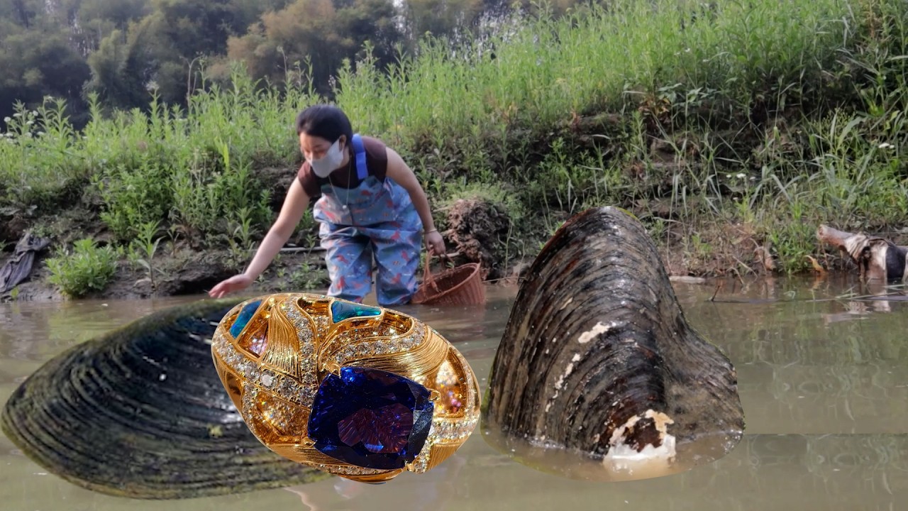 👍👍This oyster is not the largest, but it has the most pearls🎁
