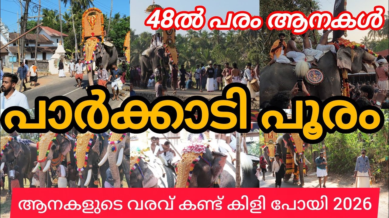 കുന്നംകുളം പാർക്കാടി പൂര മഹോത്സവം ആനകളുടെ പലേ ഭാഗത്തുനിന്നുള്ള വരവ് കണ്ട് എന്റെ കണ്ണ് തള്ളിപ്പോയി.